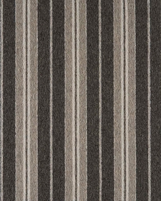 ELEMENTS COASTAL CSTL COAL/STONE