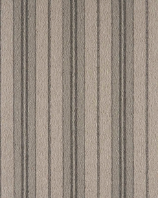 ELEMENTS COASTAL CSTL DESERT/SILT
