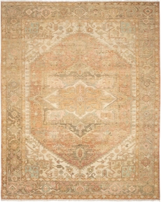 Heritage Vine HTV06 Rust Area Rug