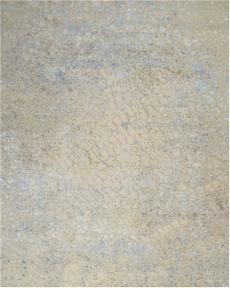 HAND KNOTTED CRO29 MULTI 8' x 10'