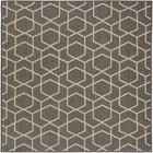 5' x 7' Area Rug