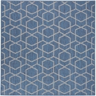 5' x 7' Area Rug