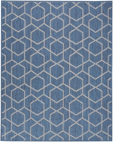 5' x 7' Area Rug