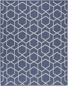 5' x 7' Area Rug