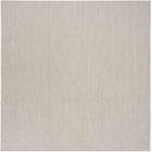 5' x 7' Area Rug