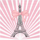 Imagination IMA17 Pink Area Rug