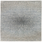 5' x 7' Area Rug