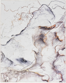 5' x 7' Area Rug