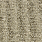 RADIANCE INTUITION D0001 CARMEL
