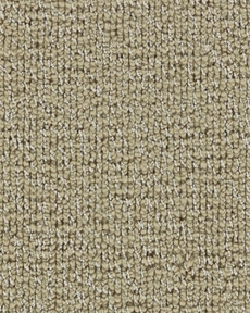RADIANCE INTUITION D0001 CARMEL