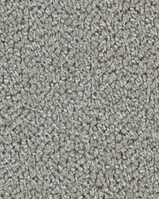 RADIANCE ALLURE R0002 SILVERTON CUSTOM