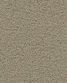 WOOL TIP SHEAR II L0030 RAW SUGAR