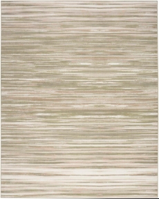 5' x 7' Area Rug