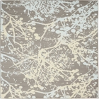 5' x 7' Area Rug
