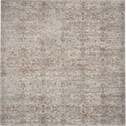 5' x 7' Area Rug