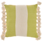 Lifestyle CN951 Lime 18" X 18" Throw Pillow