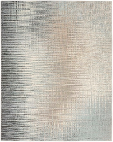 5' x 7 Area Rug