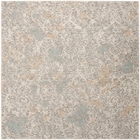 5' x 7 Area Rug