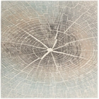5' x 7 Area Rug