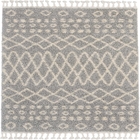 5' x 7' Area Rug