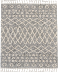 5' x 7' Area Rug