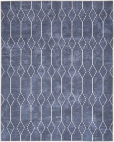 5' x 7' Area Rug