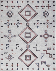 5' x 7' Area Rug