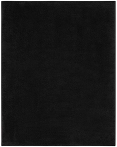 5' x 7' Area Rug