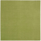 5' x 7' Area Rug