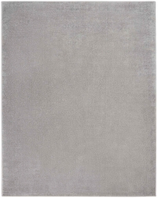 5' x 7' Area Rug