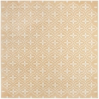 5' x 7' Area Rug