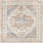 5' x 7' Area Rug