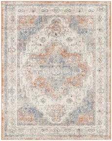 5' x 7' Area Rug