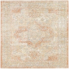 5' x 7' Area Rug
