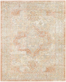 5' x 7' Area Rug
