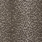 LUSTERPOINT LEOPARD POINT LPDPT EARTH CUSTOM