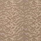 LUSTERPOINT TIGER POINT TGRPT BRUSH
