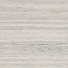 BAJA BIRCH