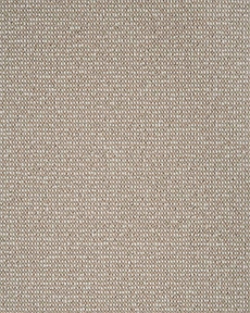 BISCAYNE BSCAY CANVAS