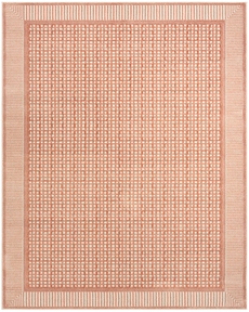 5' x 7' Area Rug