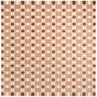 5' x 7' Area Rug