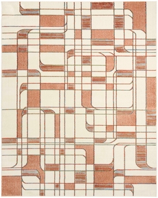 5' x 7' Area Rug