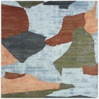 5' x 7' Area Rug