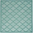 5' x 7' Area Rug