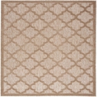5' x 7' Area Rug