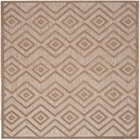 5' x 7' Area Rug