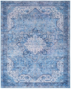Nourison Washables NWB15 Blue Area Rug
