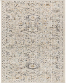 Oushak Home OUS01 Cream 2'3" x 7'6" Area Rug