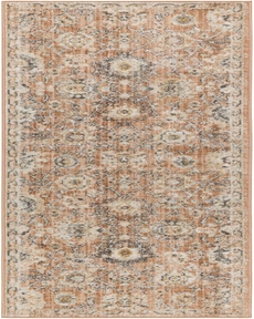 Oushak Home OUS01 Rust 2' x 6' Area Rug