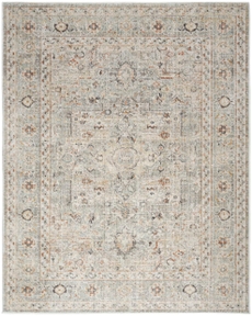 5' x 7' Area Rug